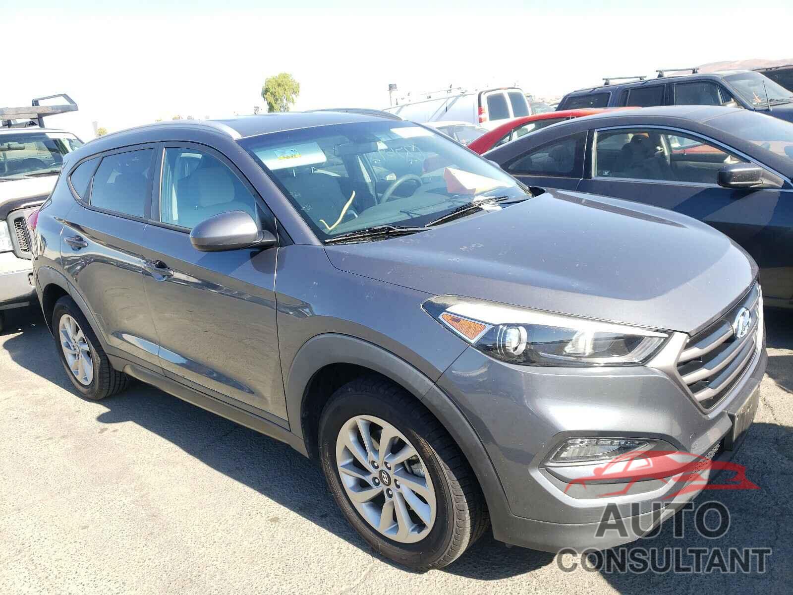 HYUNDAI TUCSON 2016 - KM8J33A43GU098048