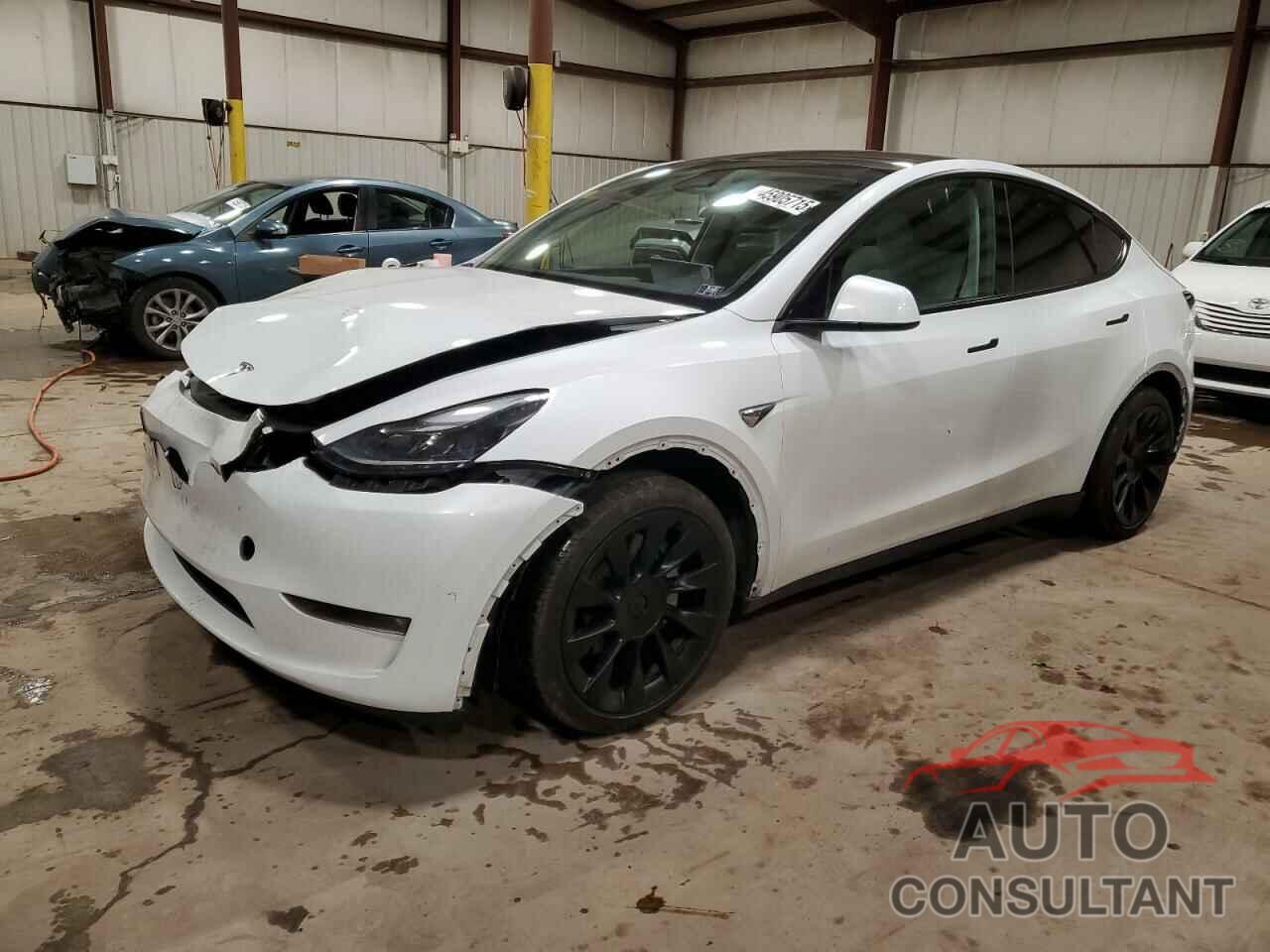 TESLA MODEL Y 2023 - 7SAYGAEE2PF873577