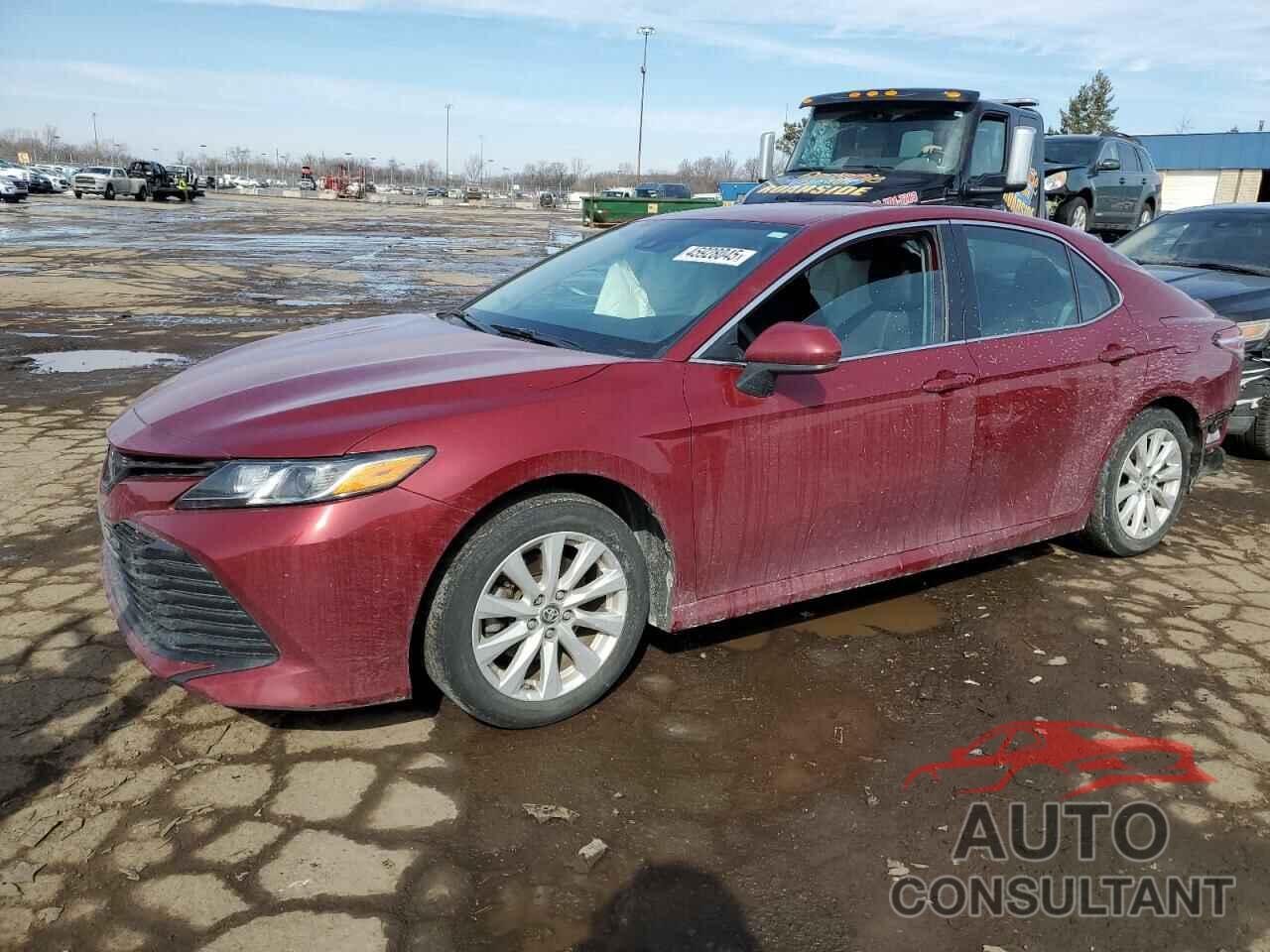 TOYOTA CAMRY 2019 - 4T1B11HK1KU290841