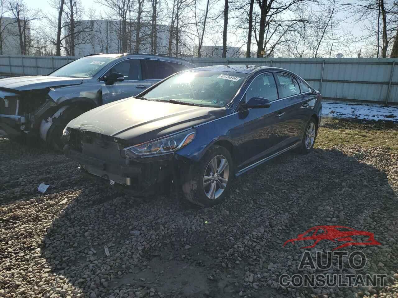 HYUNDAI SONATA 2019 - 5NPE34AF3KH733401