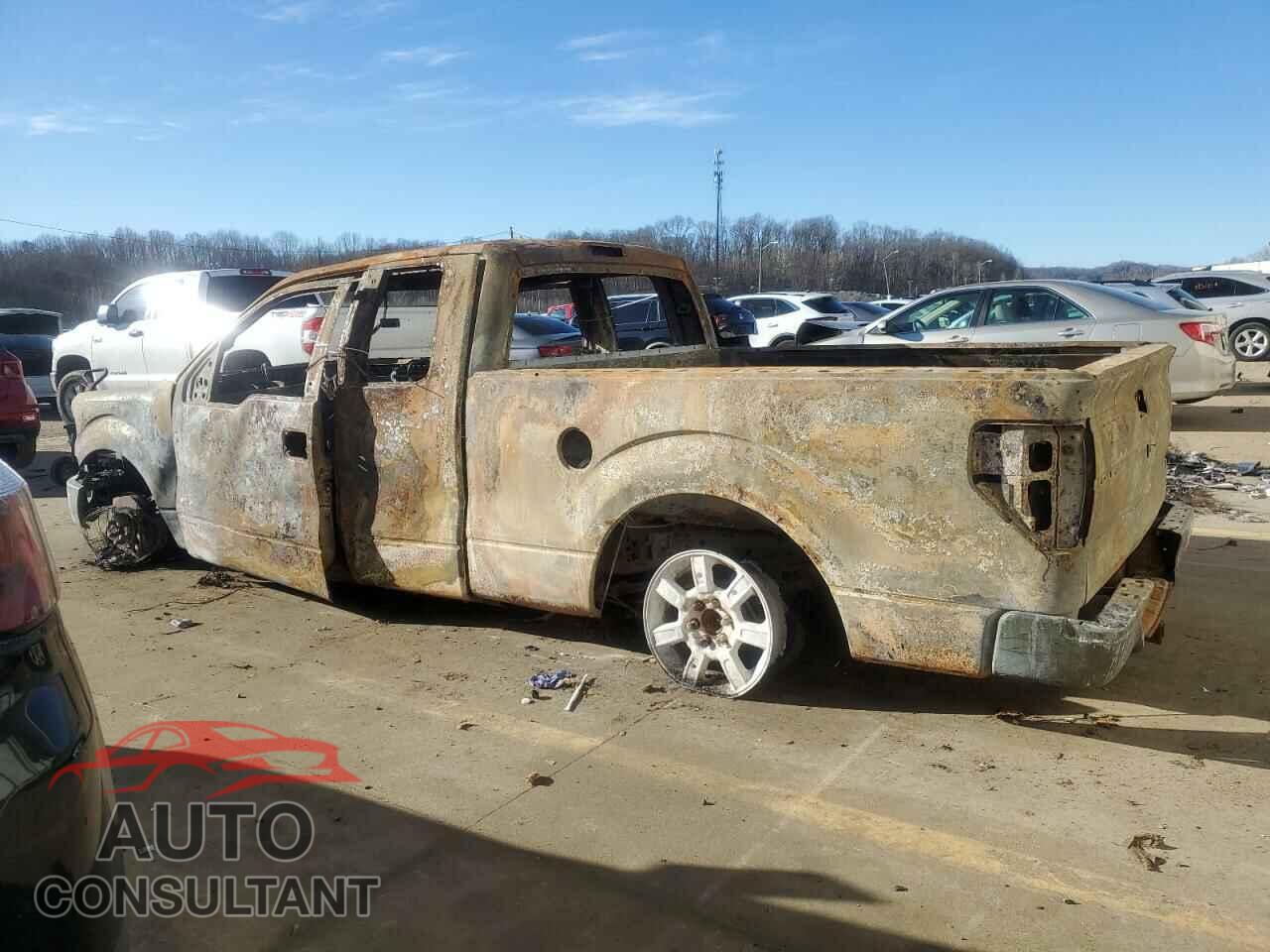 FORD F-150 2013 - 1FTFX1ET7DFB36160
