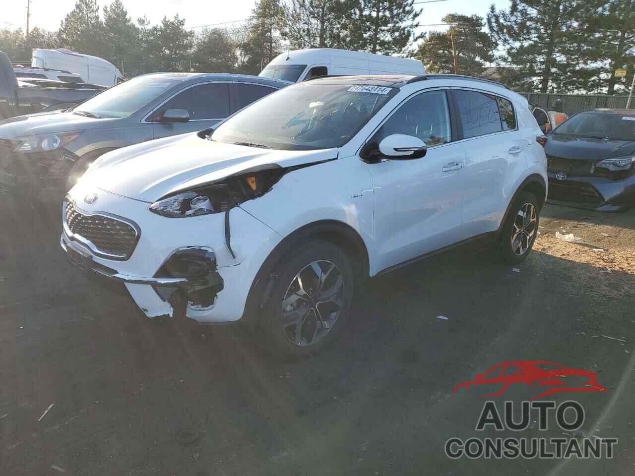 KIA SPORTAGE 2022 - KNDPNCAC2N7011669