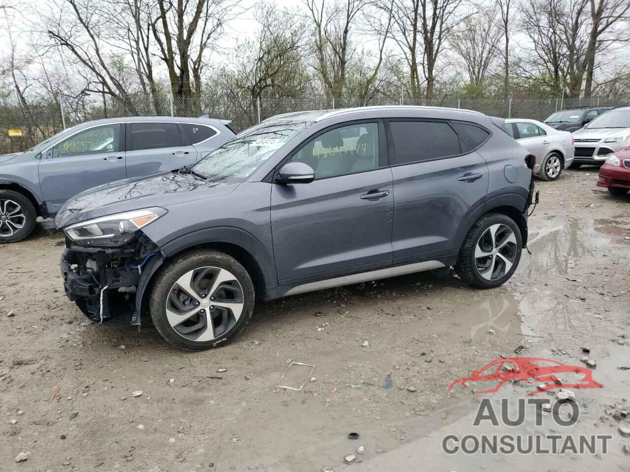 HYUNDAI TUCSON 2017 - KM8J33A25HU536469