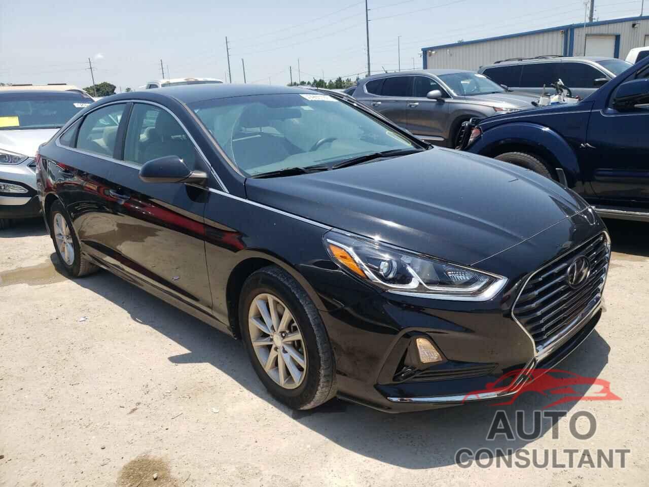 HYUNDAI SONATA 2019 - 5NPE24AF0KH803374