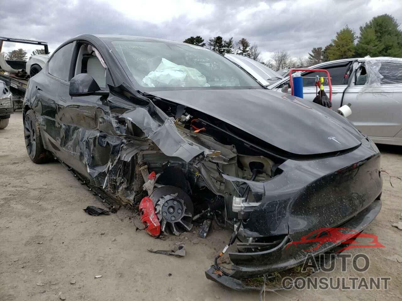 TESLA MODEL Y 2022 - 7SAYGDEF4NF326317