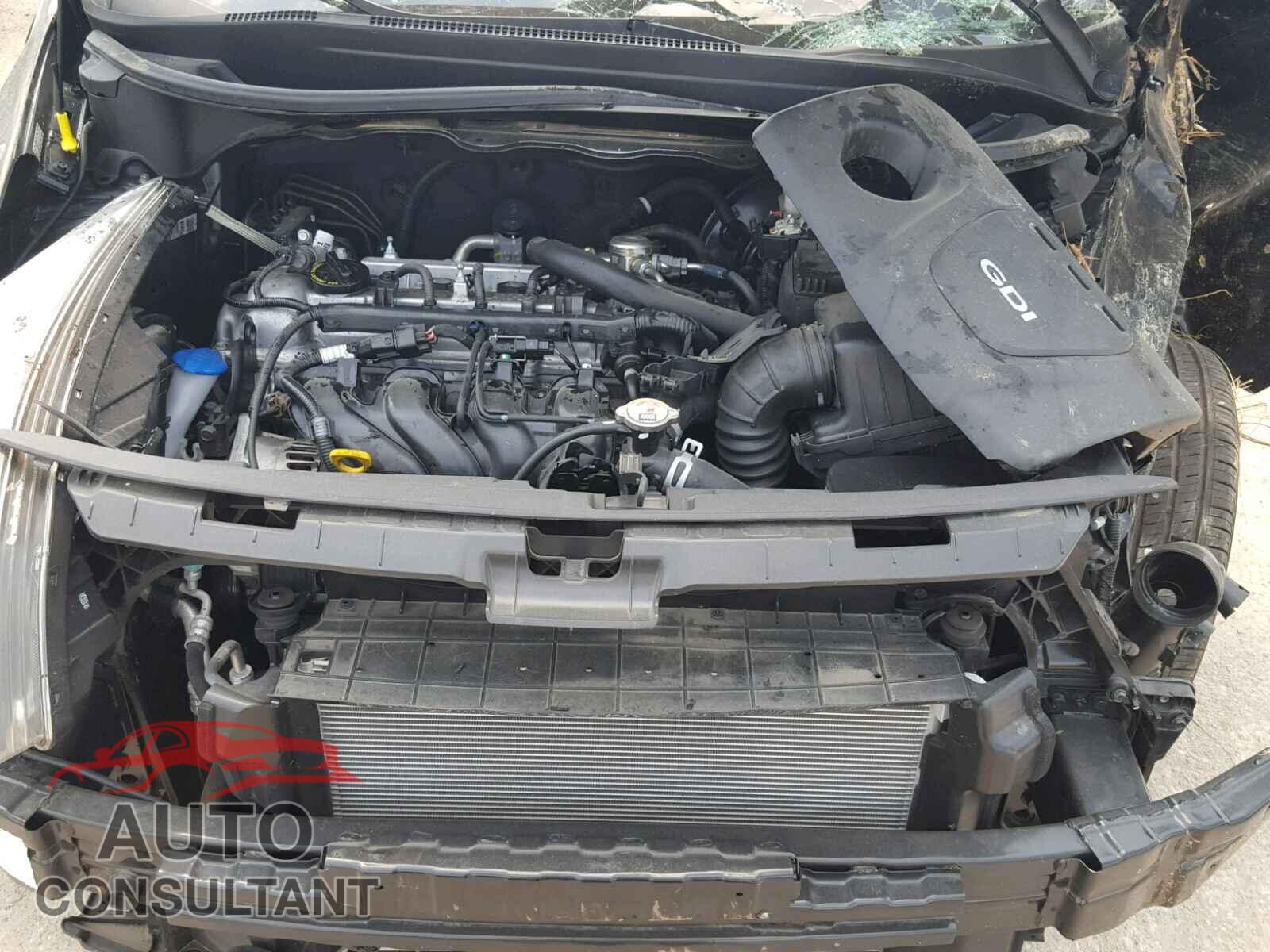 KIA RIO 2017 - KNADM4A37H6034979