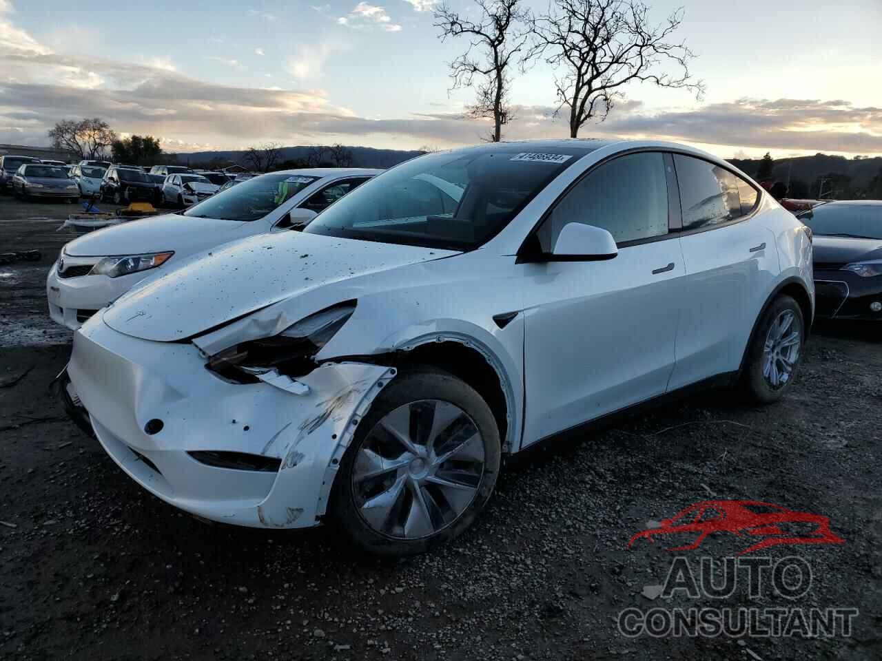 TESLA MODEL Y 2020 - 5YJYGDEE7LF026224