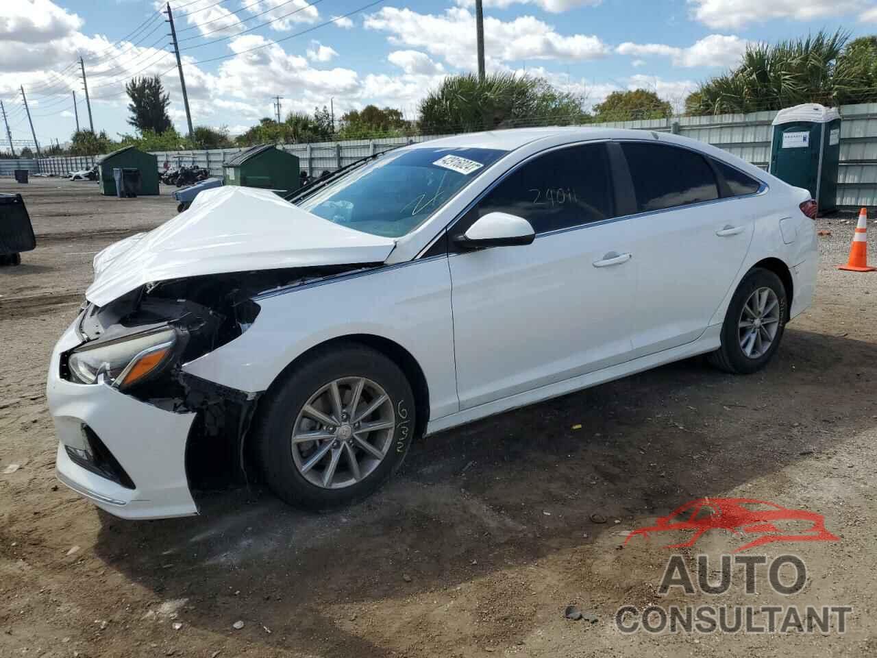 HYUNDAI SONATA 2019 - 5NPE24AF0KH786222