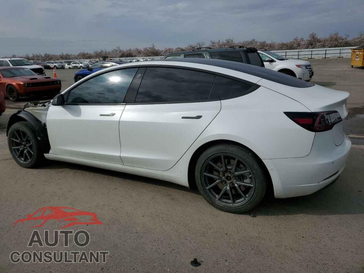 TESLA MODEL 3 2018 - 5YJ3E1EA5JF063491