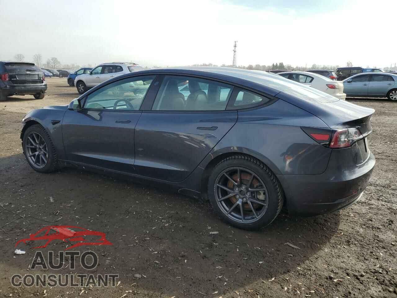 TESLA MODEL 3 2021 - 5YJ3E1EA2MF973930