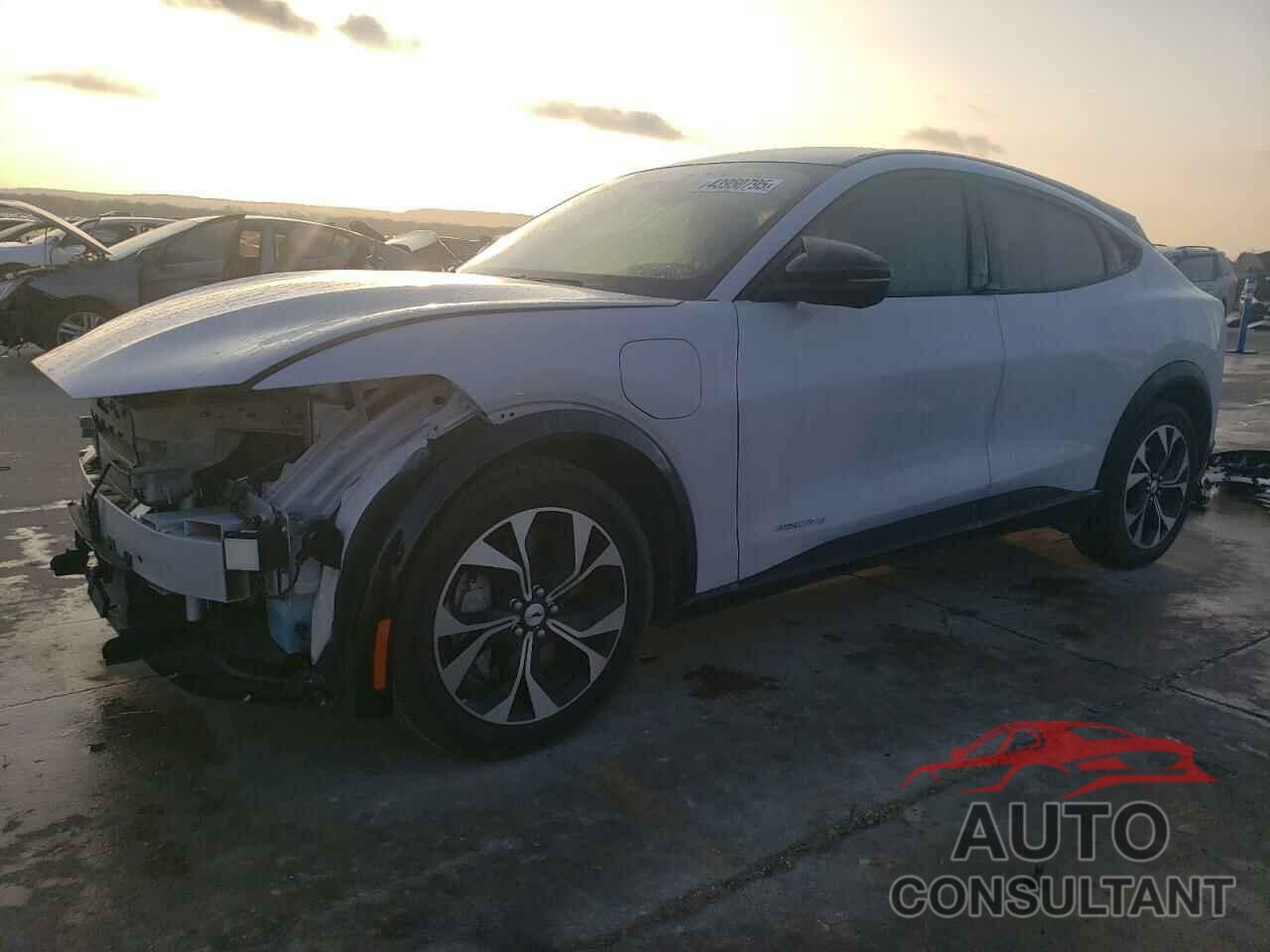 FORD MUSTANG 2023 - 3FMTK3RM2PMA48763