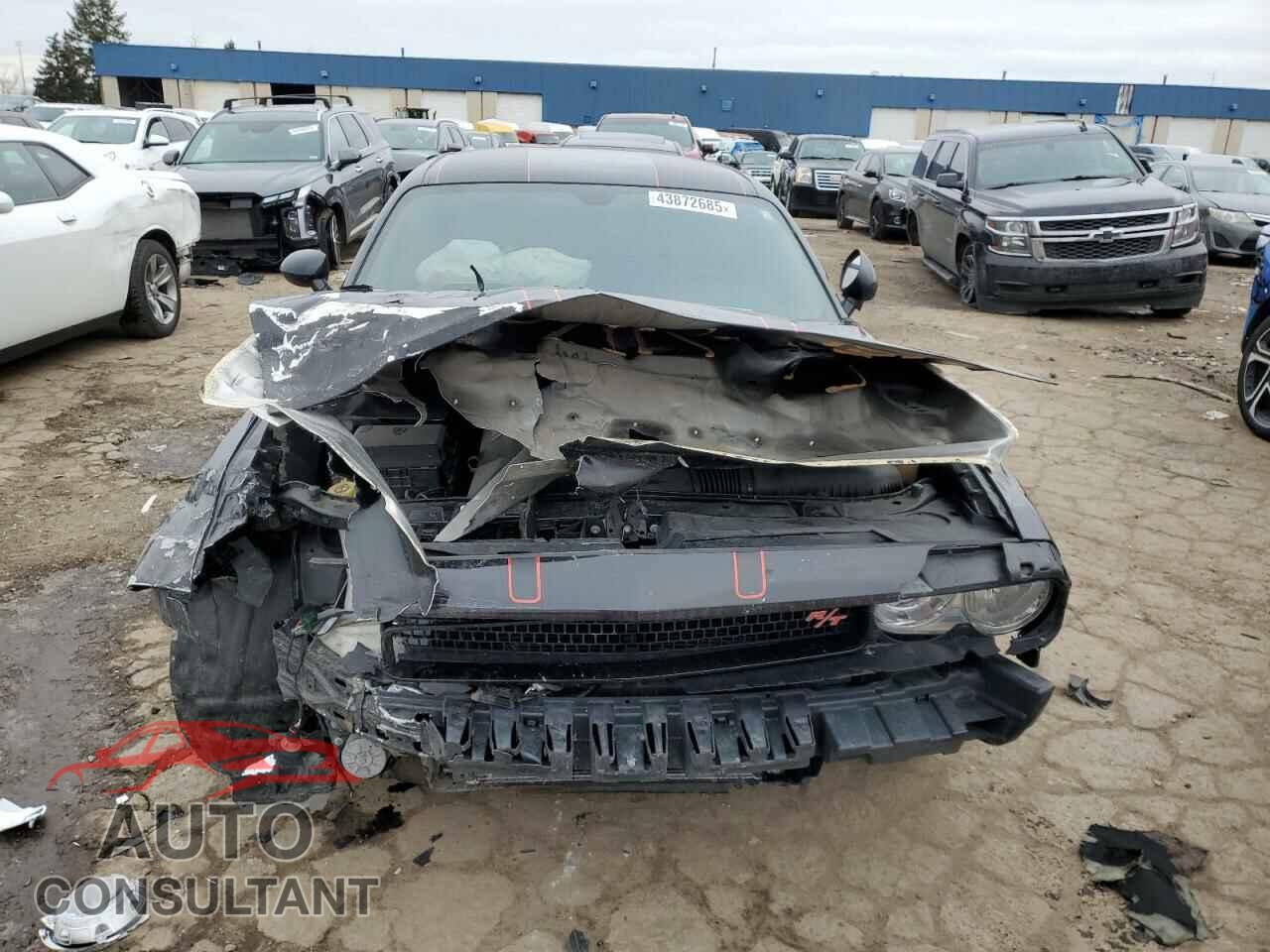 DODGE CHALLENGER 2014 - 2C3CDYBT7EH250351