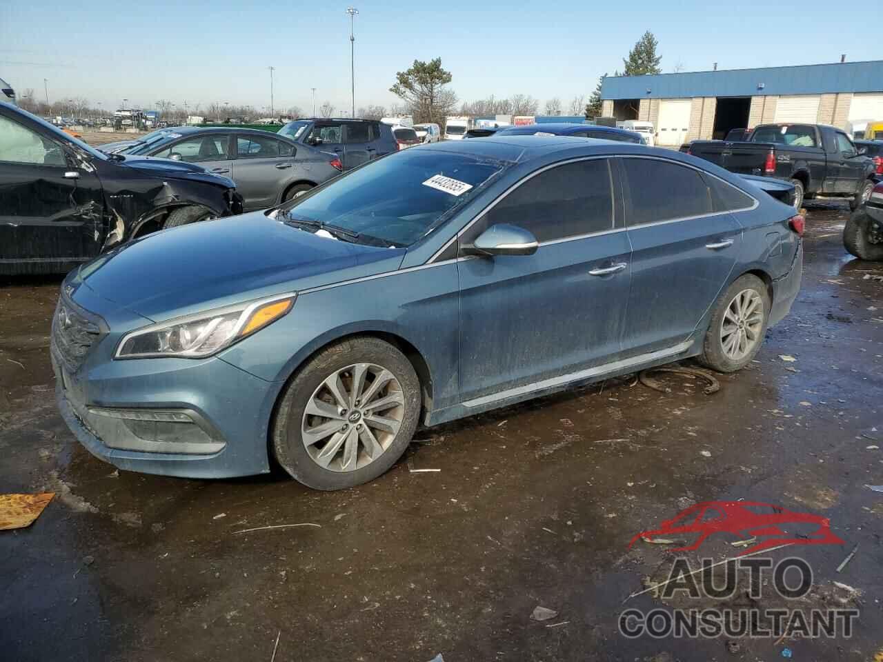 HYUNDAI SONATA 2016 - 5NPE34AF9GH394926