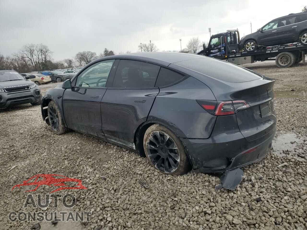 TESLA MODEL Y 2024 - 7SAYGDEEXRF988853