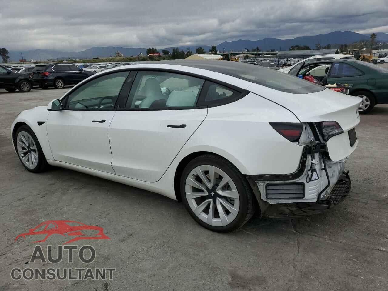 TESLA MODEL 3 2021 - 5YJ3E1EA5MF989748
