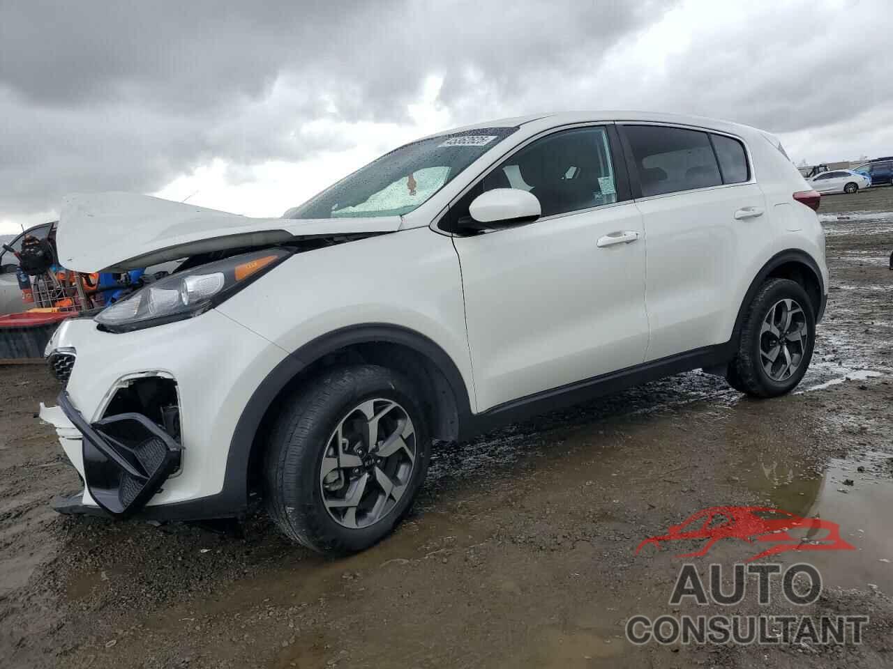 KIA SPORTAGE 2022 - KNDPM3AC5N7021535
