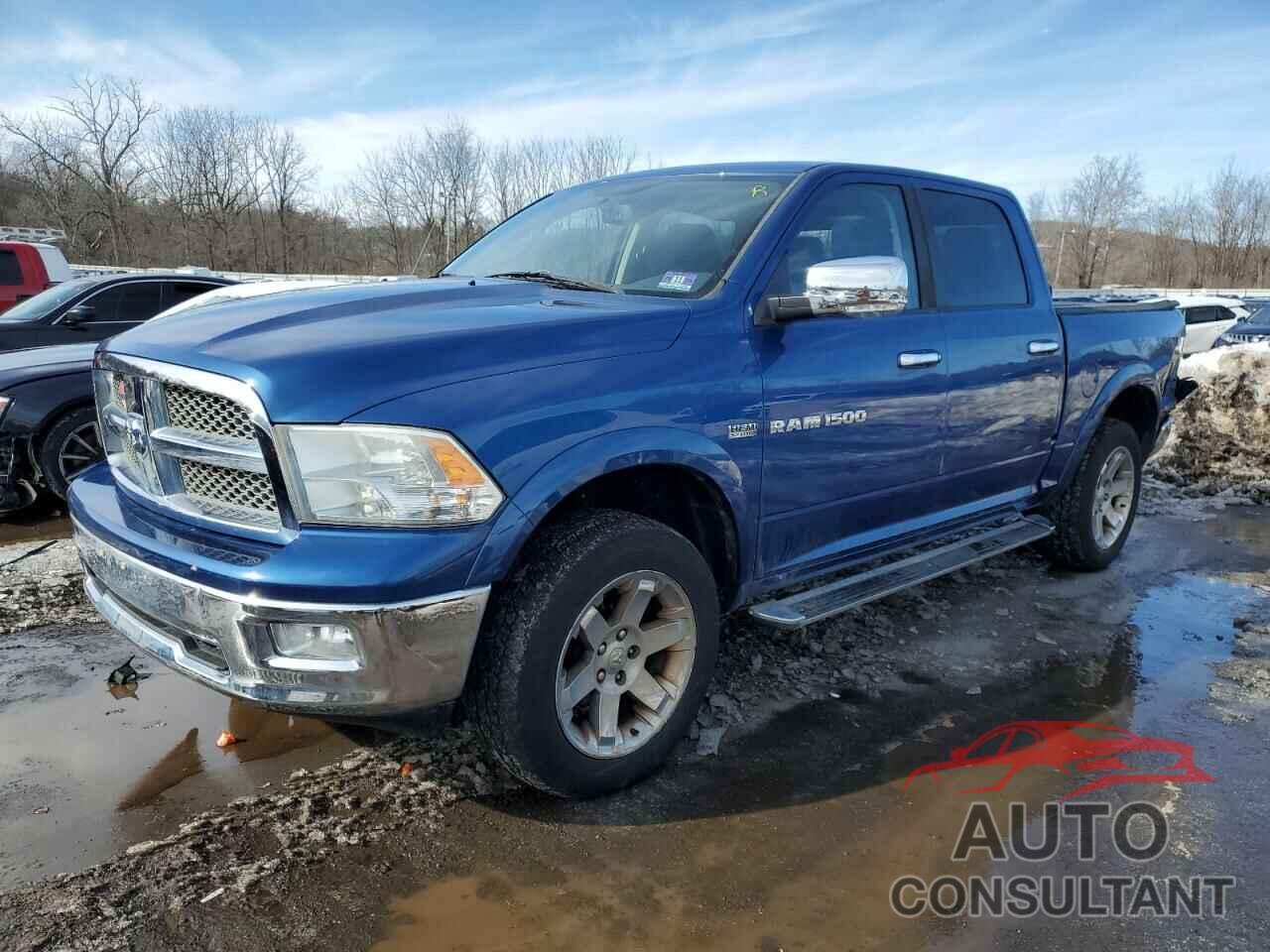 DODGE All Models 2011 - 1D7RV1CT7BS709137