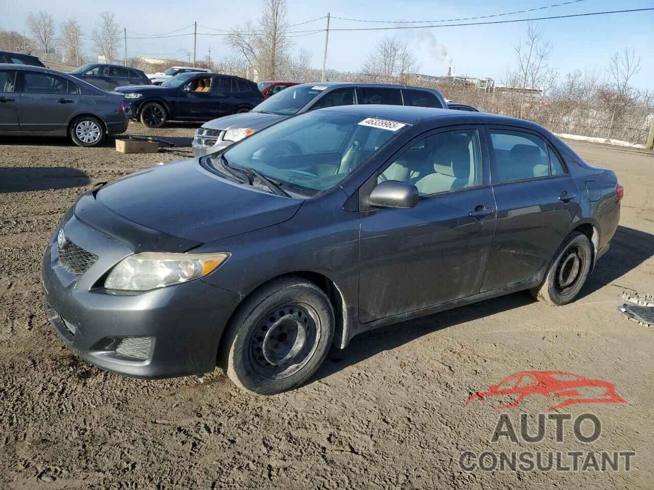 TOYOTA COROLLA 2010 - 2T1BU4EEXAC265749