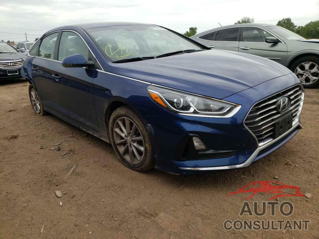 HYUNDAI SONATA 2019 - 5NPE24AF5KH731717