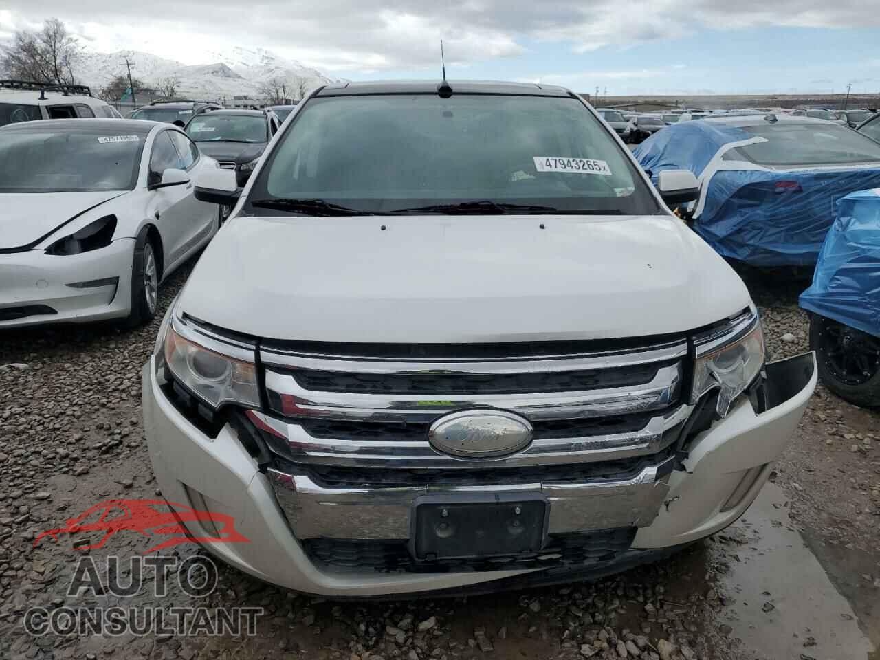 FORD EDGE 2014 - 2FMDK3JC8EBA62575