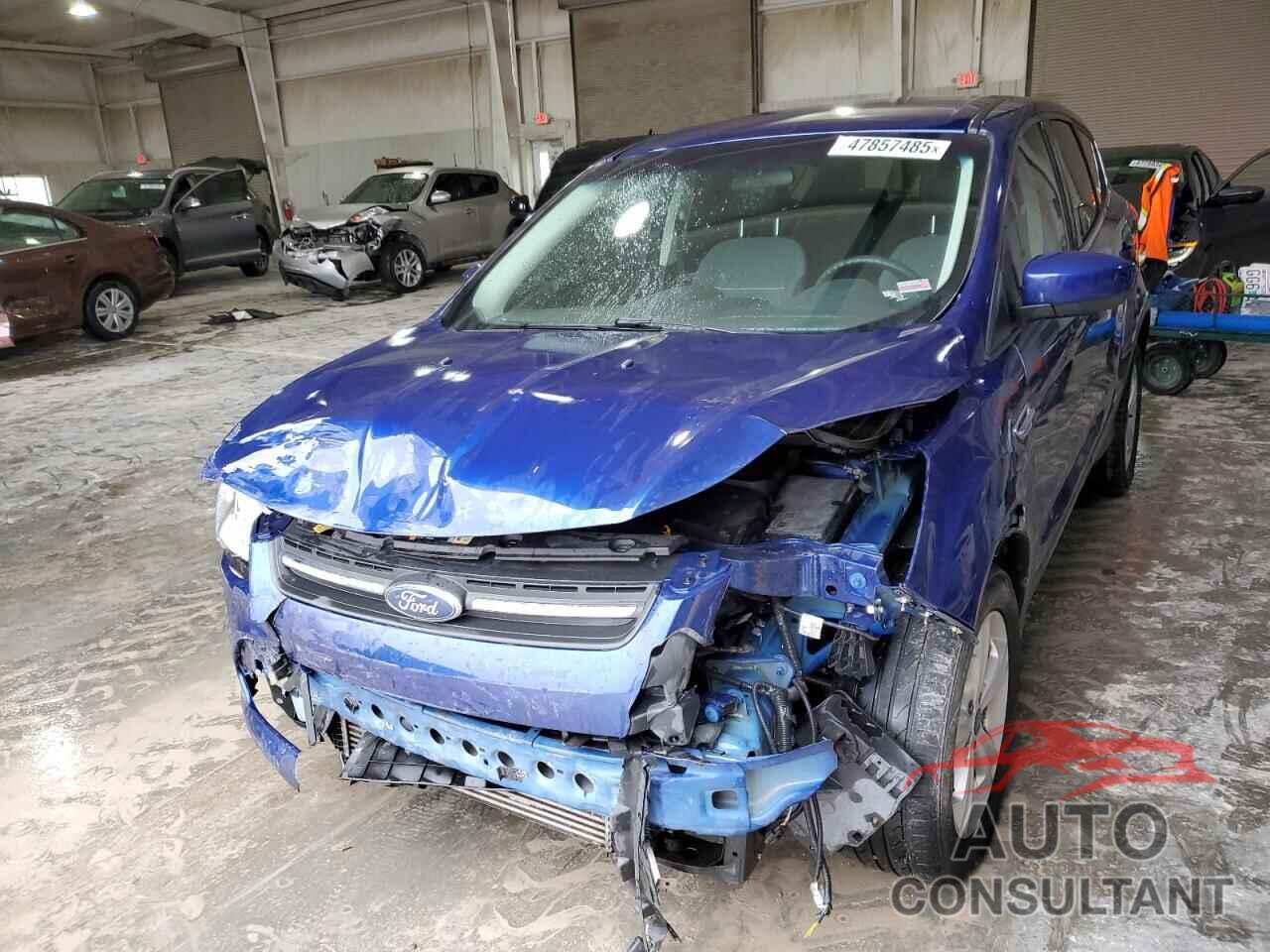 FORD ESCAPE 2013 - 1FMCU9GXXDUD85991