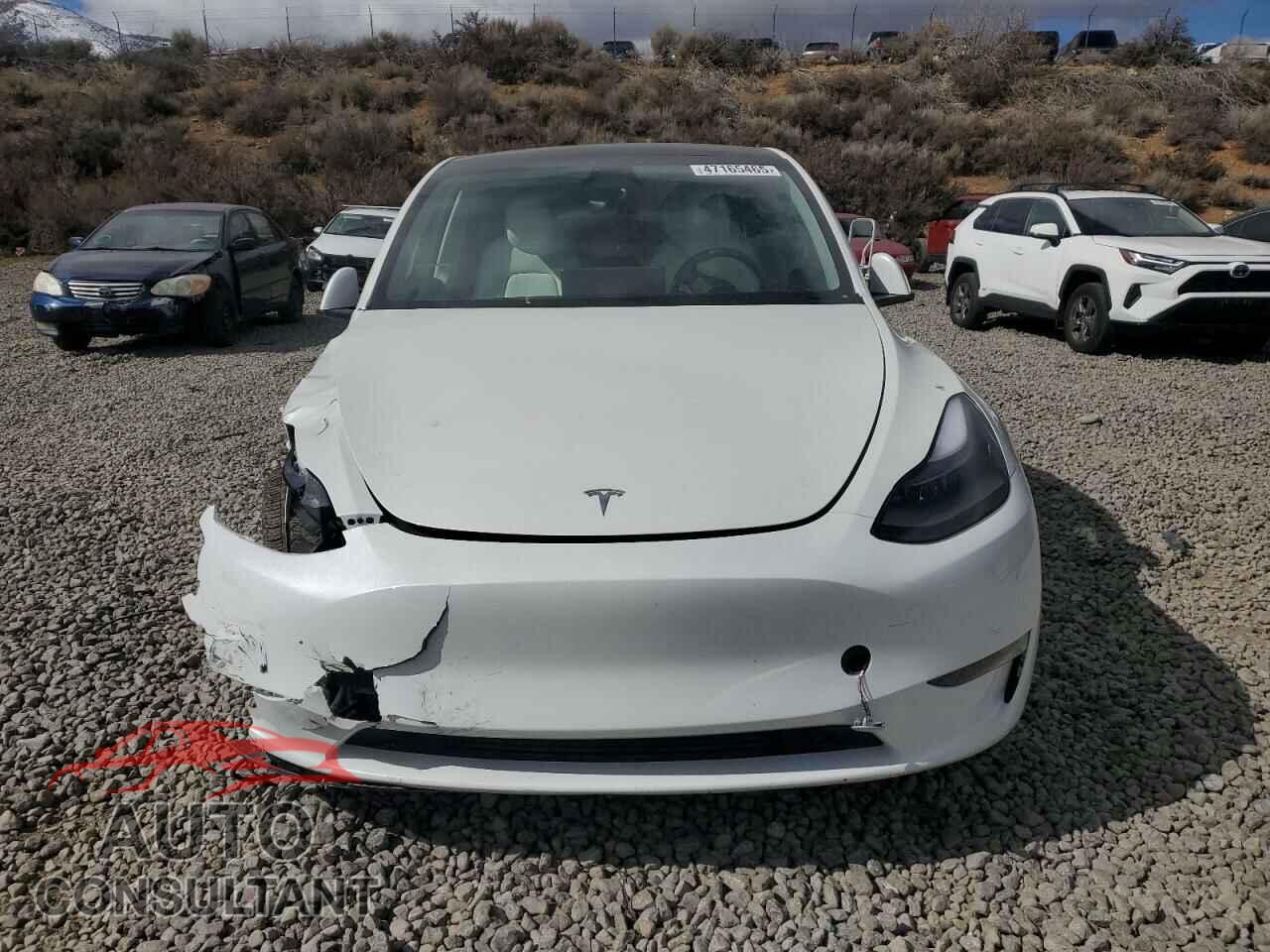 TESLA MODEL Y 2024 - 7SAYGDEE2RF130499