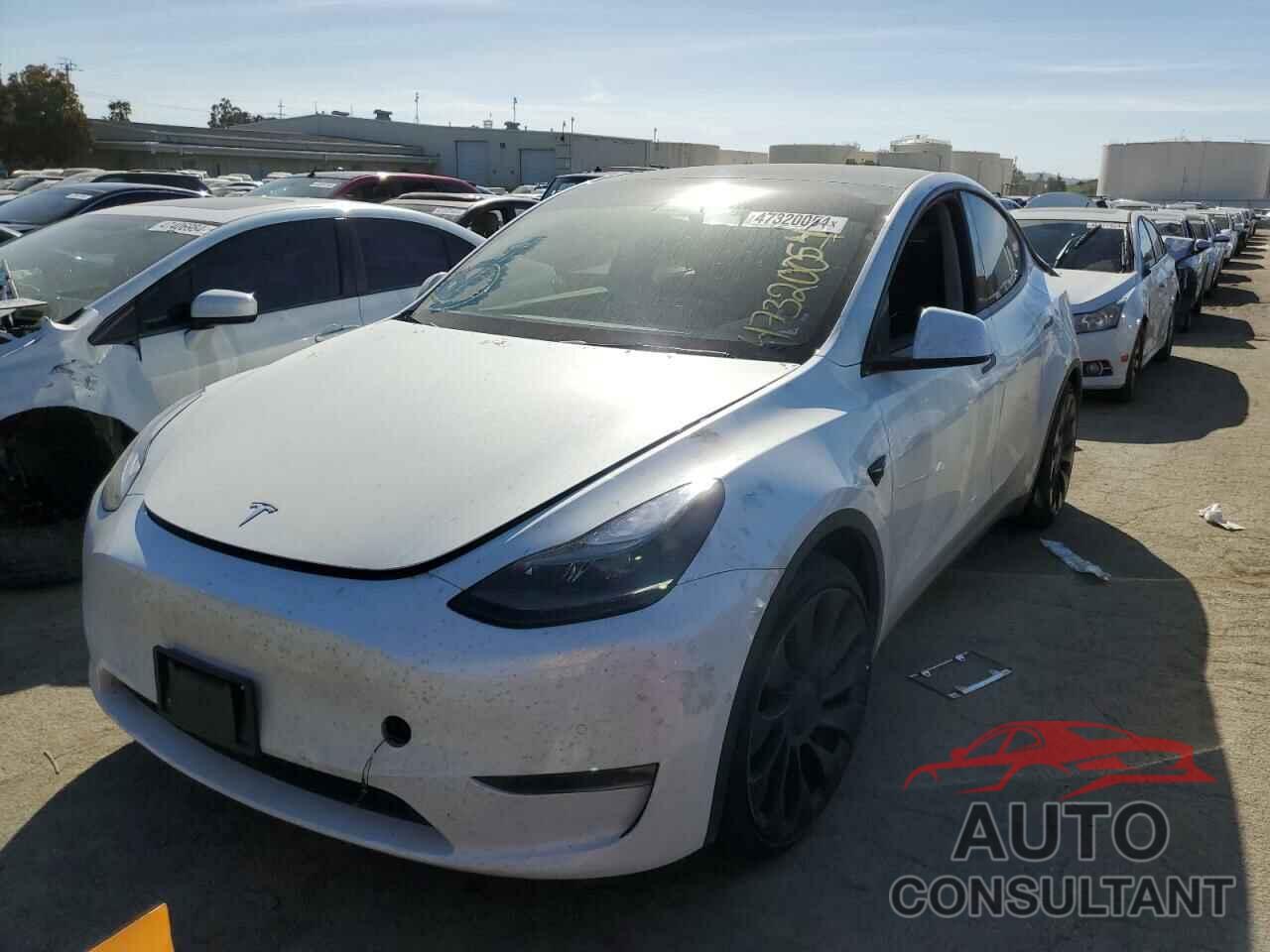 TESLA MODEL Y 2022 - 7SAYGDEF3NF510972