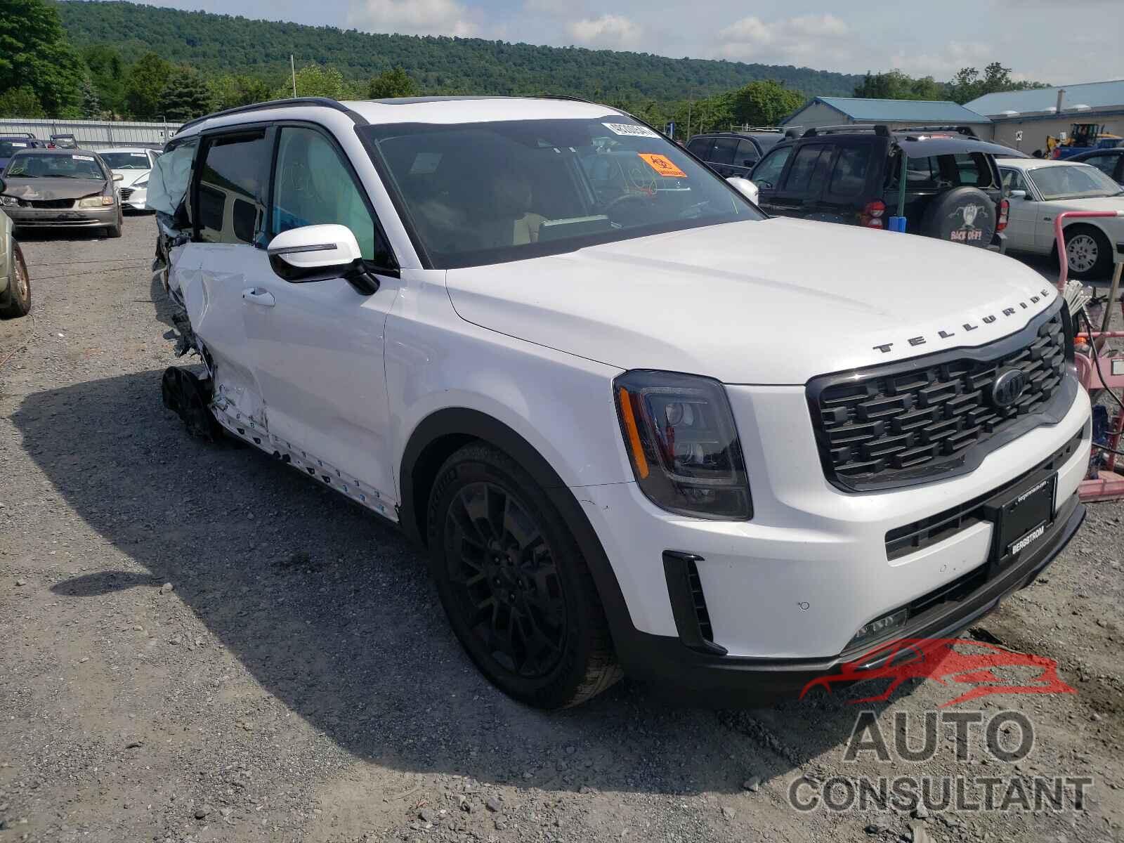 KIA TELLURIDE 2021 - 5XYP5DHC0MG175242