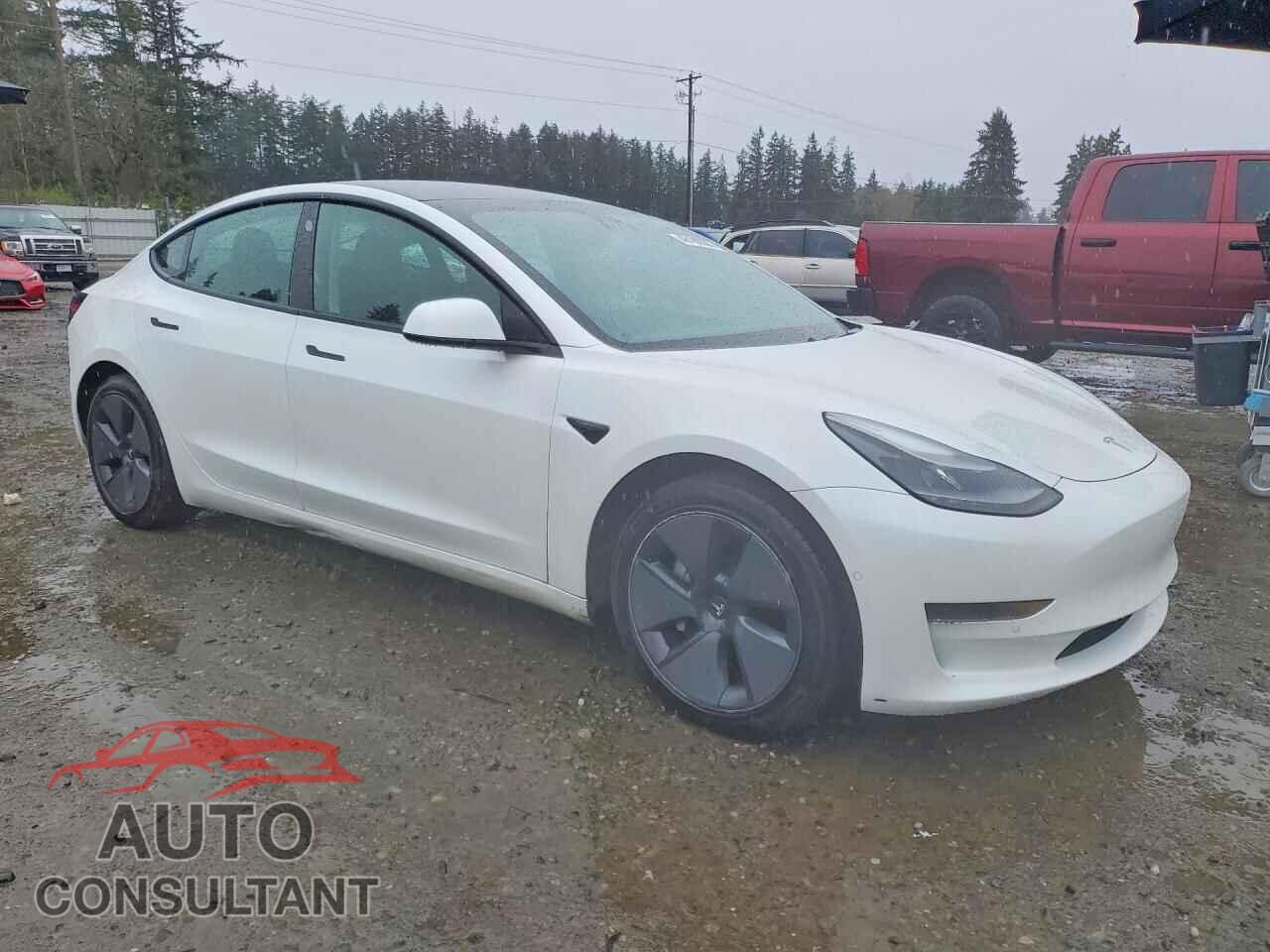 TESLA MODEL 3 2021 - 5YJ3E1EA3MF929936