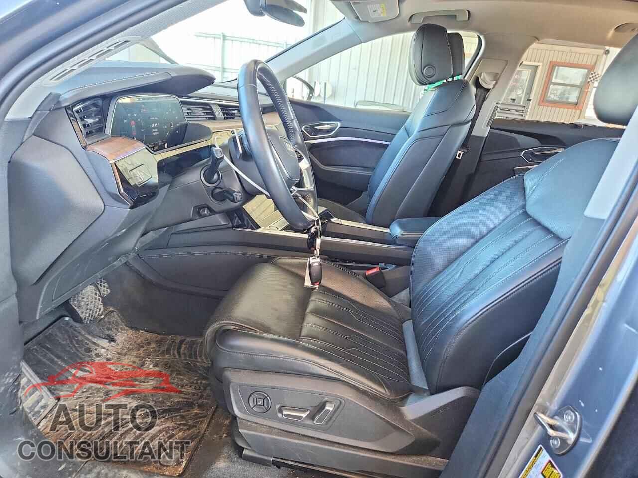AUDI E-TRON 2019 - WA1VAAGE8KB013865