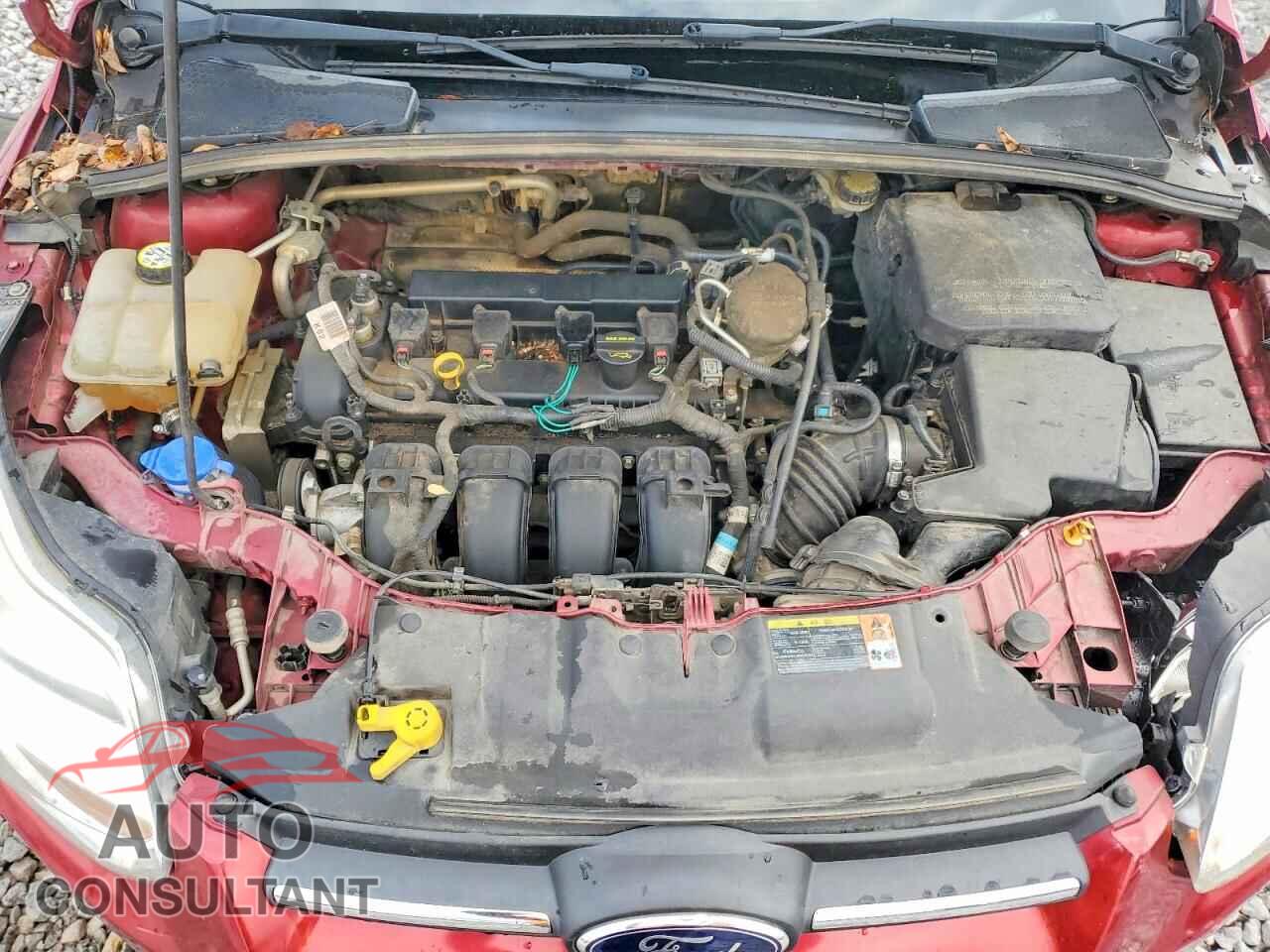 FORD FOCUS 2013 - 1FADP3F27DL224965