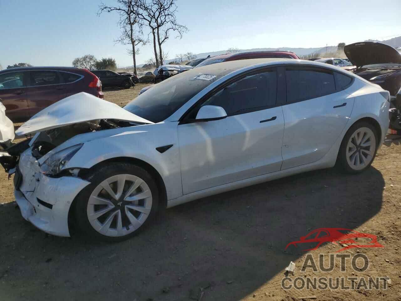 TESLA MODEL 3 2021 - 5YJ3E1EA0MF017765
