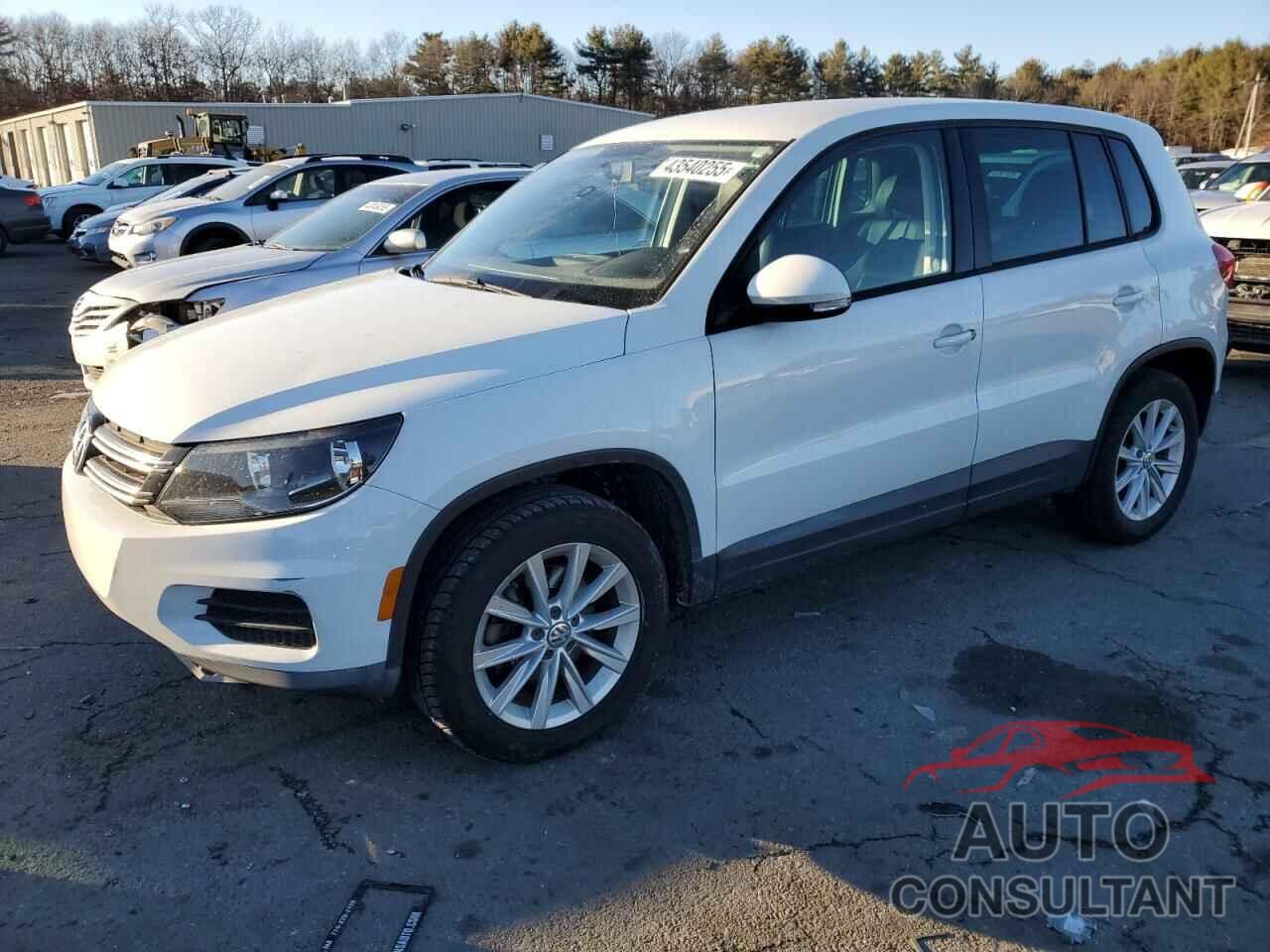 VOLKSWAGEN TIGUAN 2014 - WVGAV3AX4EW626475