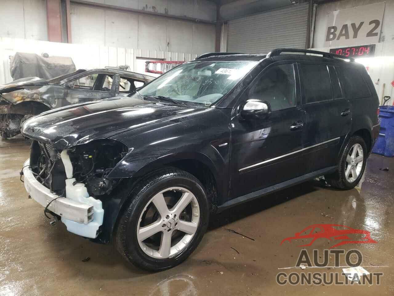 MERCEDES-BENZ GL-CLASS 2009 - 4JGBF25E09A528762