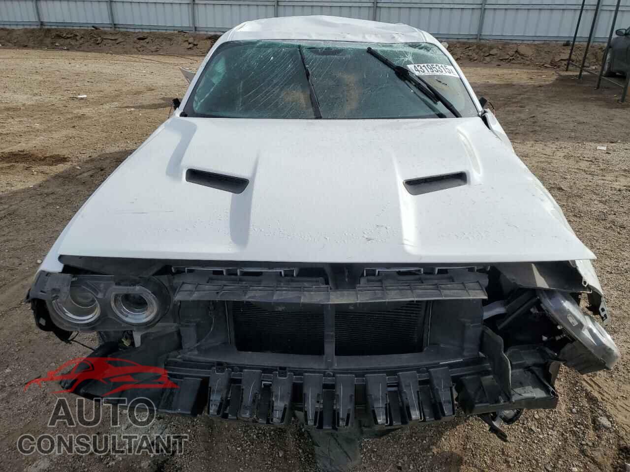 DODGE CHALLENGER 2019 - 2C3CDZAG2KH727659