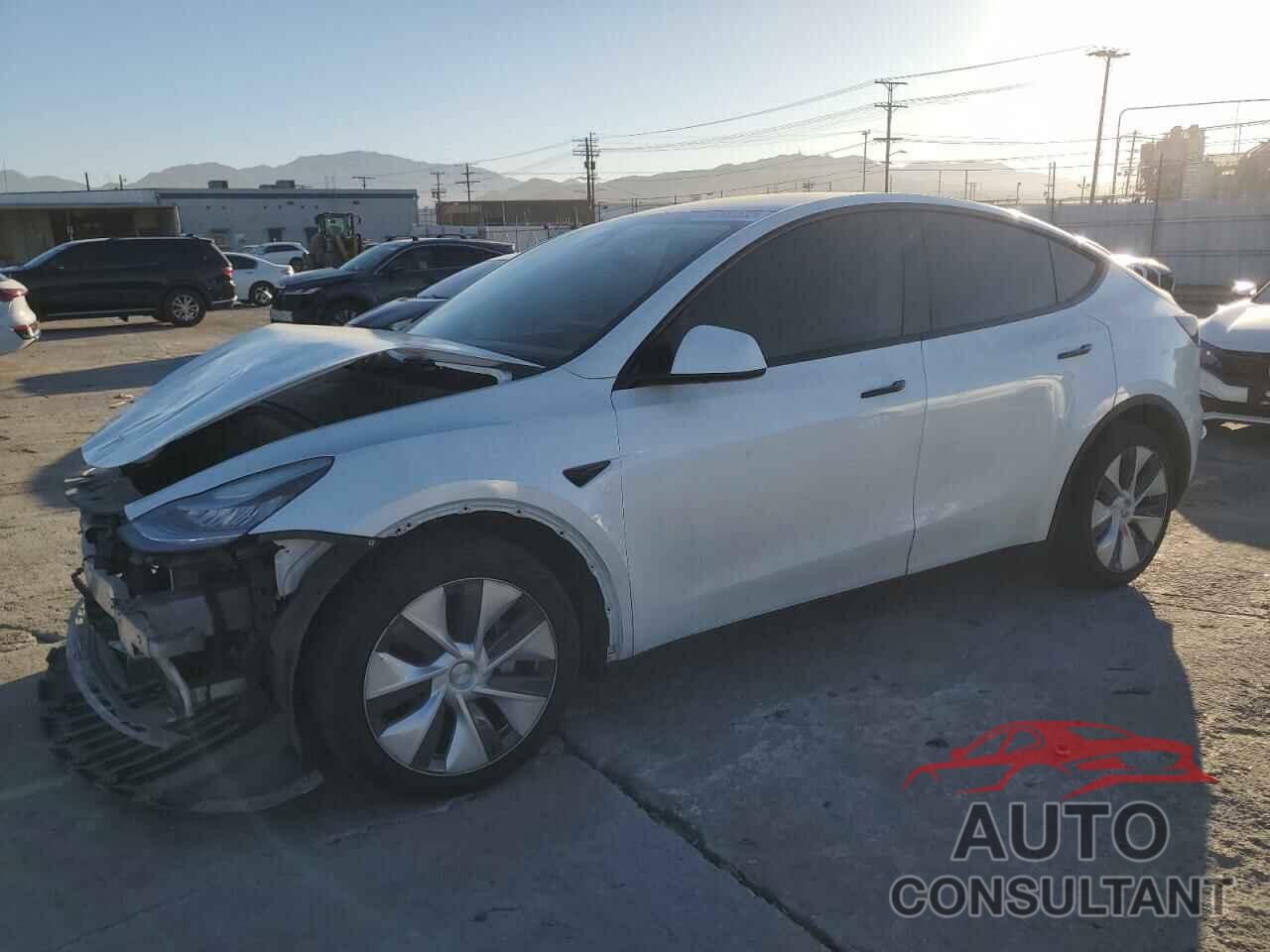 TESLA MODEL Y 2020 - 5YJYGDEE8LF051004