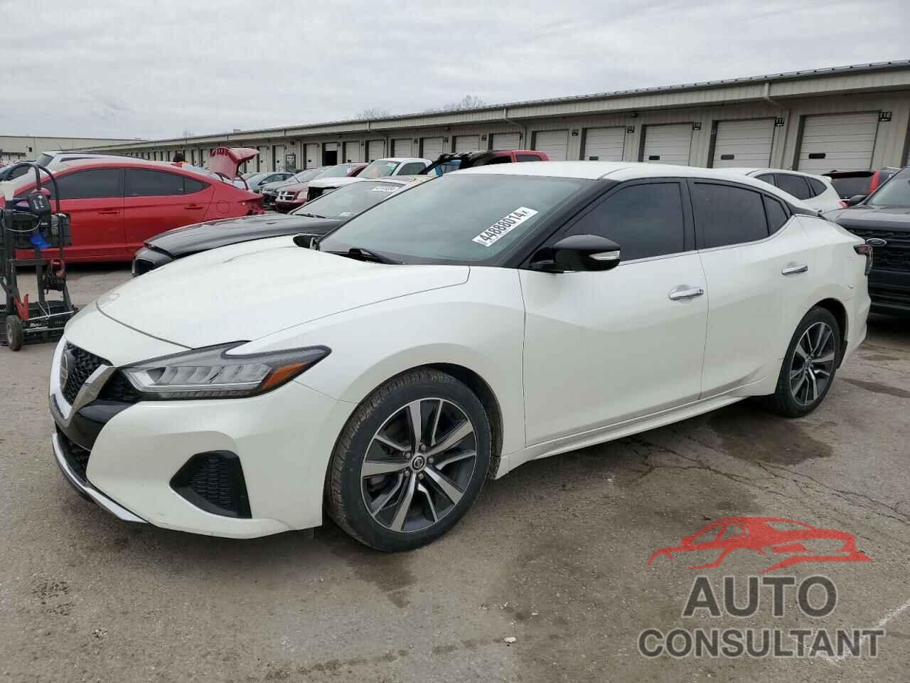 NISSAN MAXIMA 2019 - 1N4AA6AV3KC373216