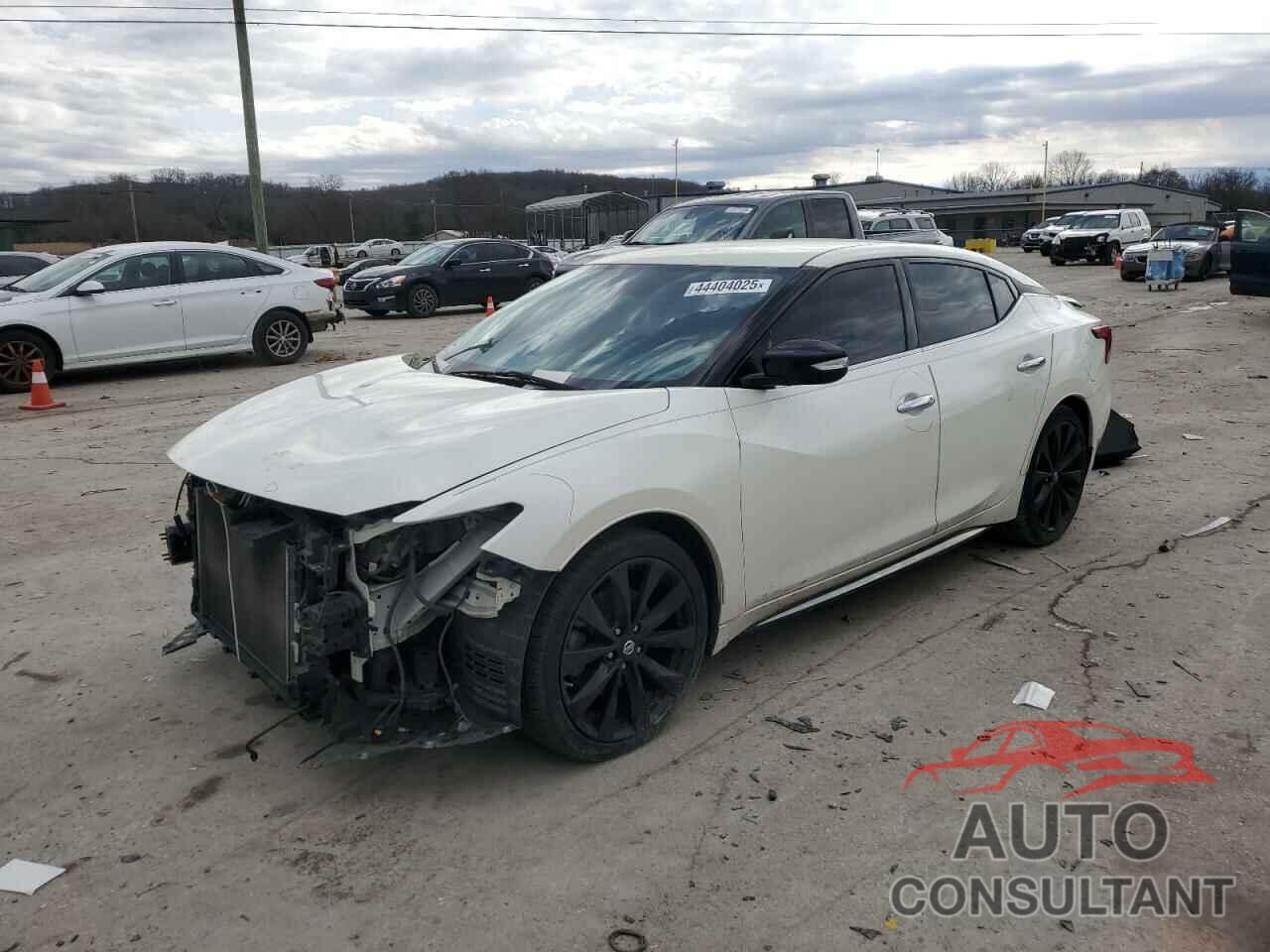 NISSAN MAXIMA 2016 - 1N4AA6AP7GC408705
