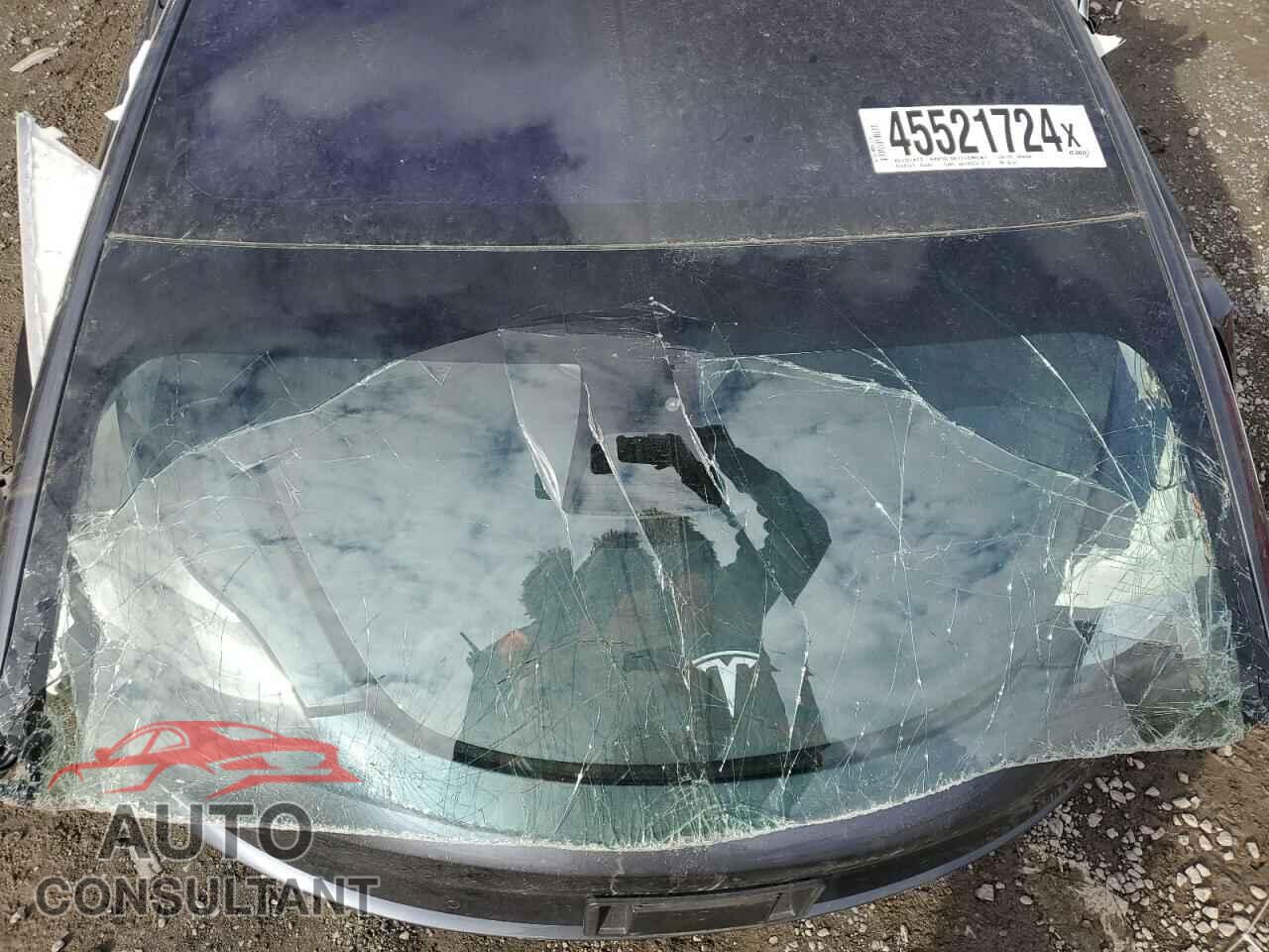 TESLA MODEL 3 2019 - 5YJ3E1EA4KF307343