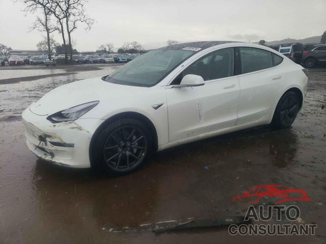 TESLA MODEL 3 2020 - 5YJ3E1EA0LF632881