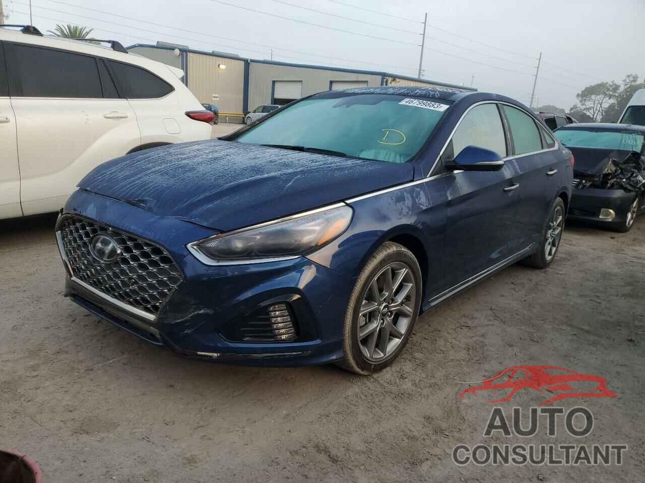 HYUNDAI SONATA 2019 - 5NPE34AB4KH790560