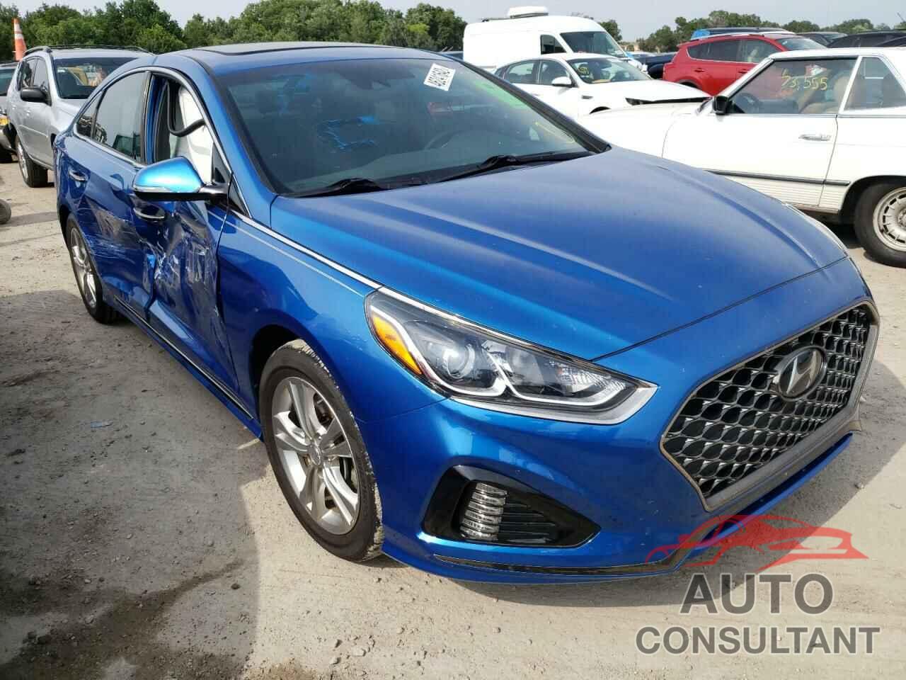 HYUNDAI SONATA 2019 - 5NPE34AF8KH733474