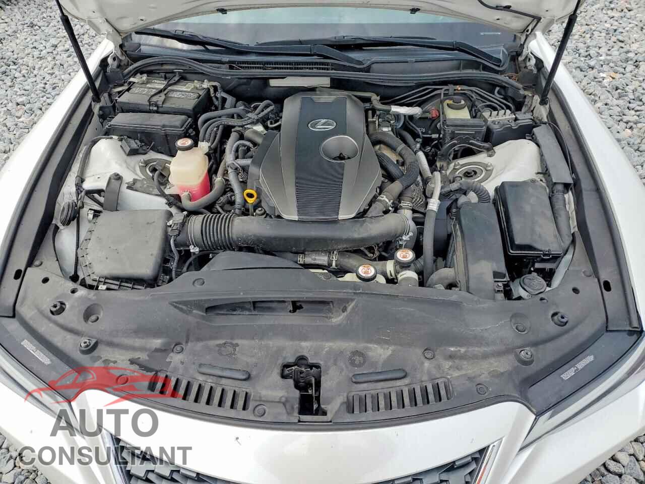 LEXUS IS 2021 - JTHAA1D26M5113493