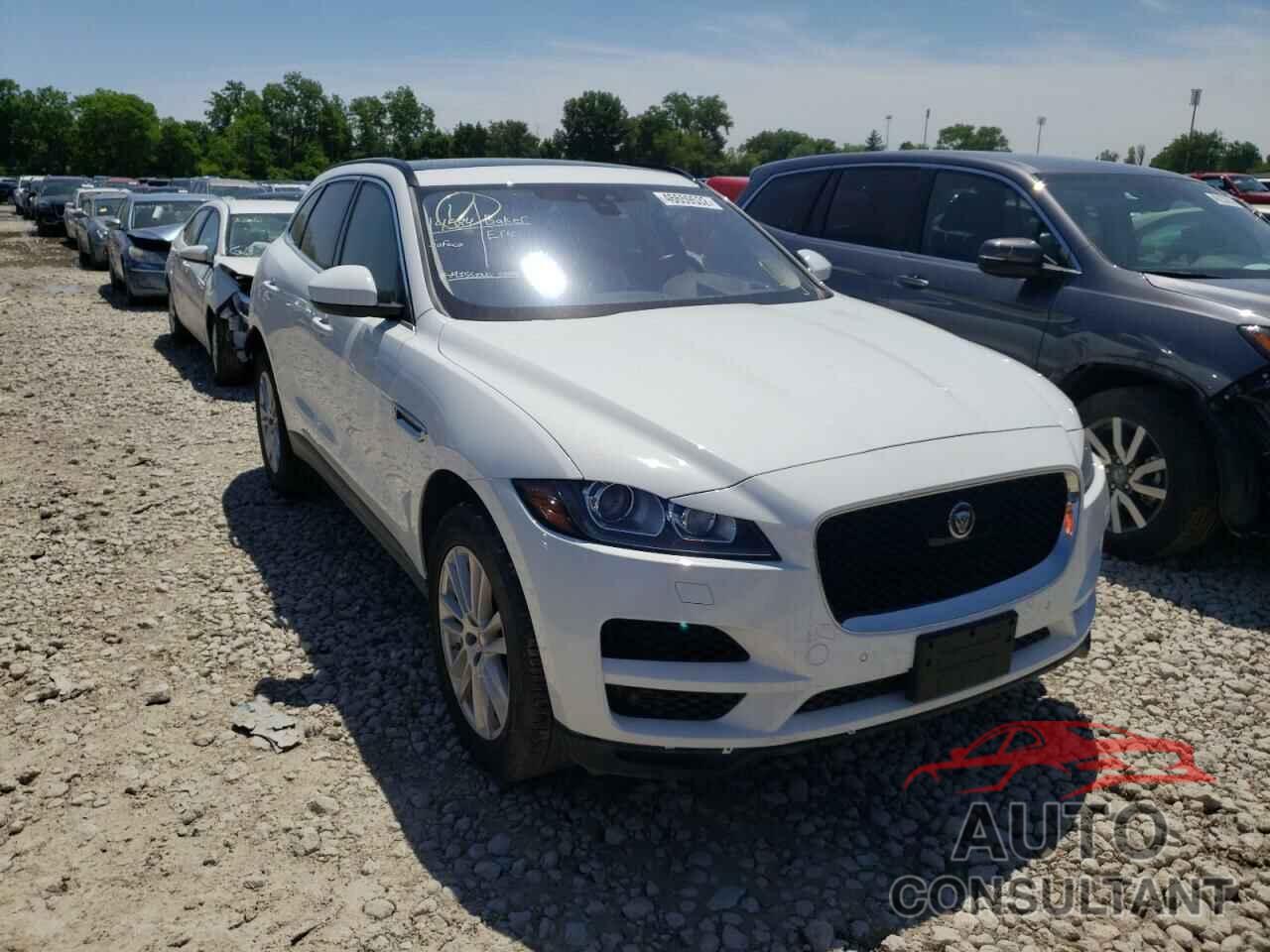 JAGUAR F-PACE 2020 - SADCK2FX9LA618606