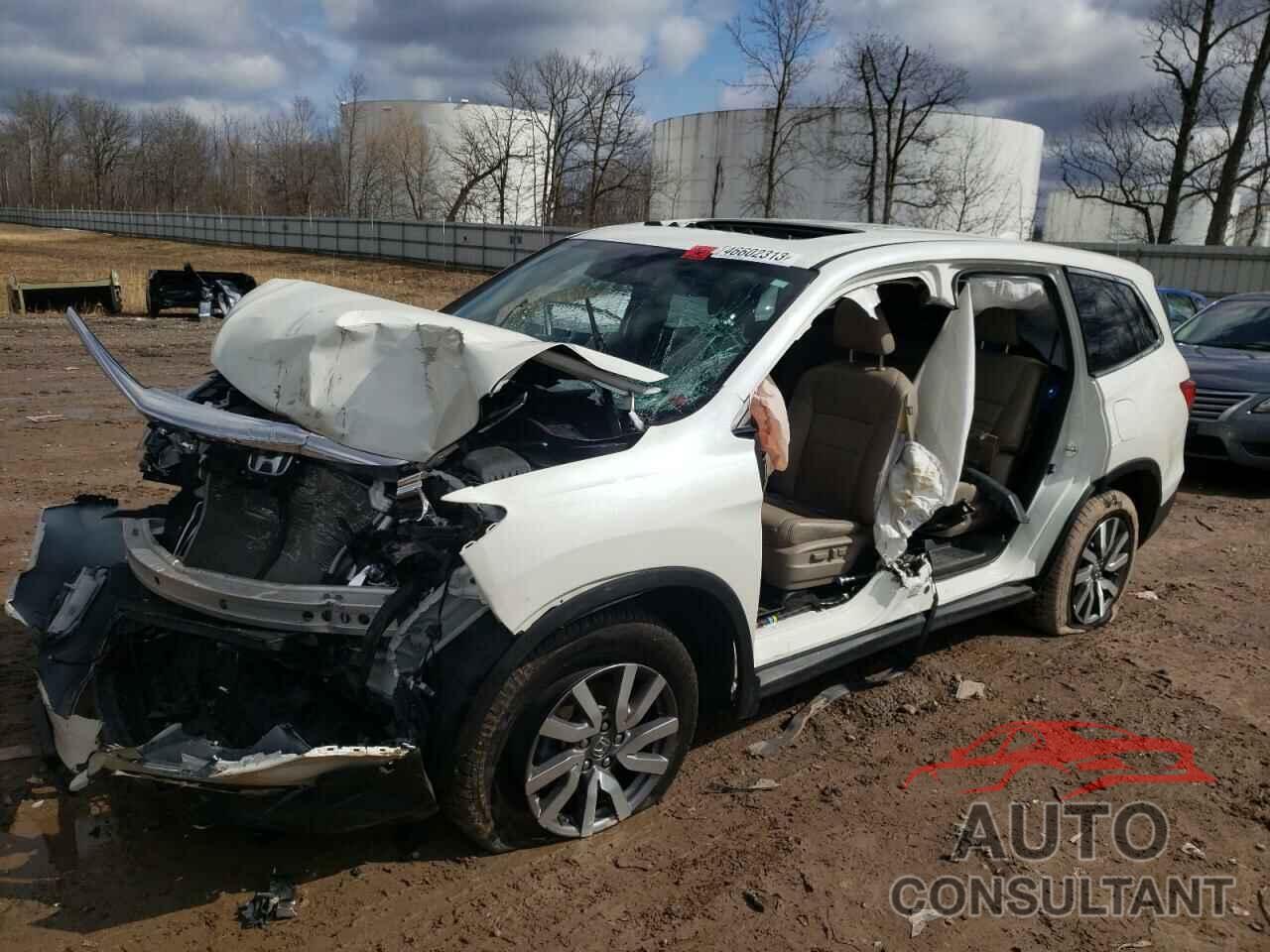 HONDA PILOT 2019 - 5FNYF6H52KB036300