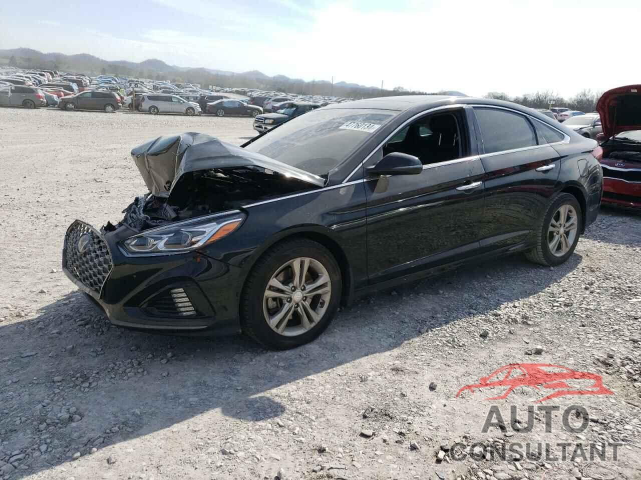 HYUNDAI SONATA 2019 - 5NPE34AF2KH805530