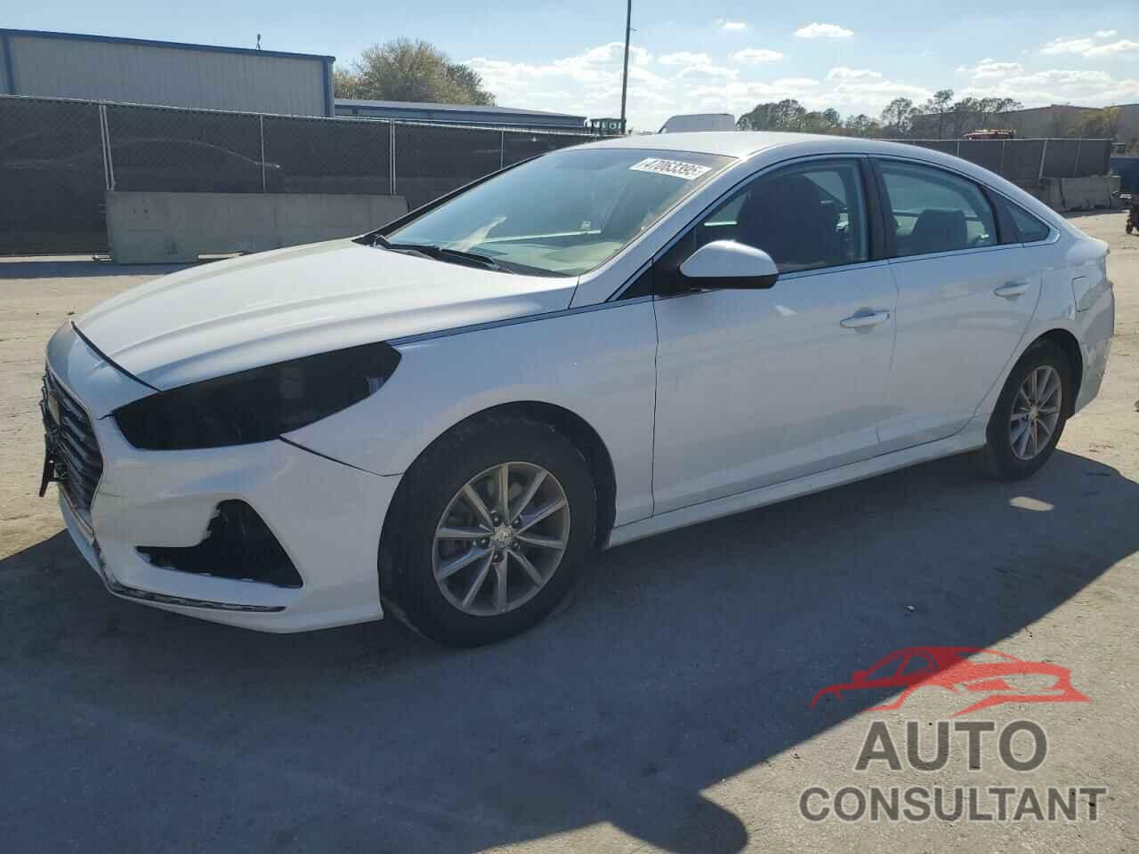 HYUNDAI SONATA 2019 - 5NPE24AFXKH803088