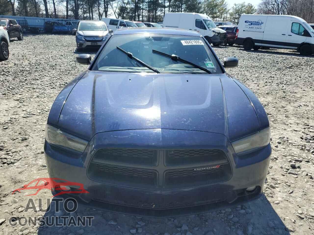 DODGE CHARGER 2014 - 2C3CDXHGXEH369242