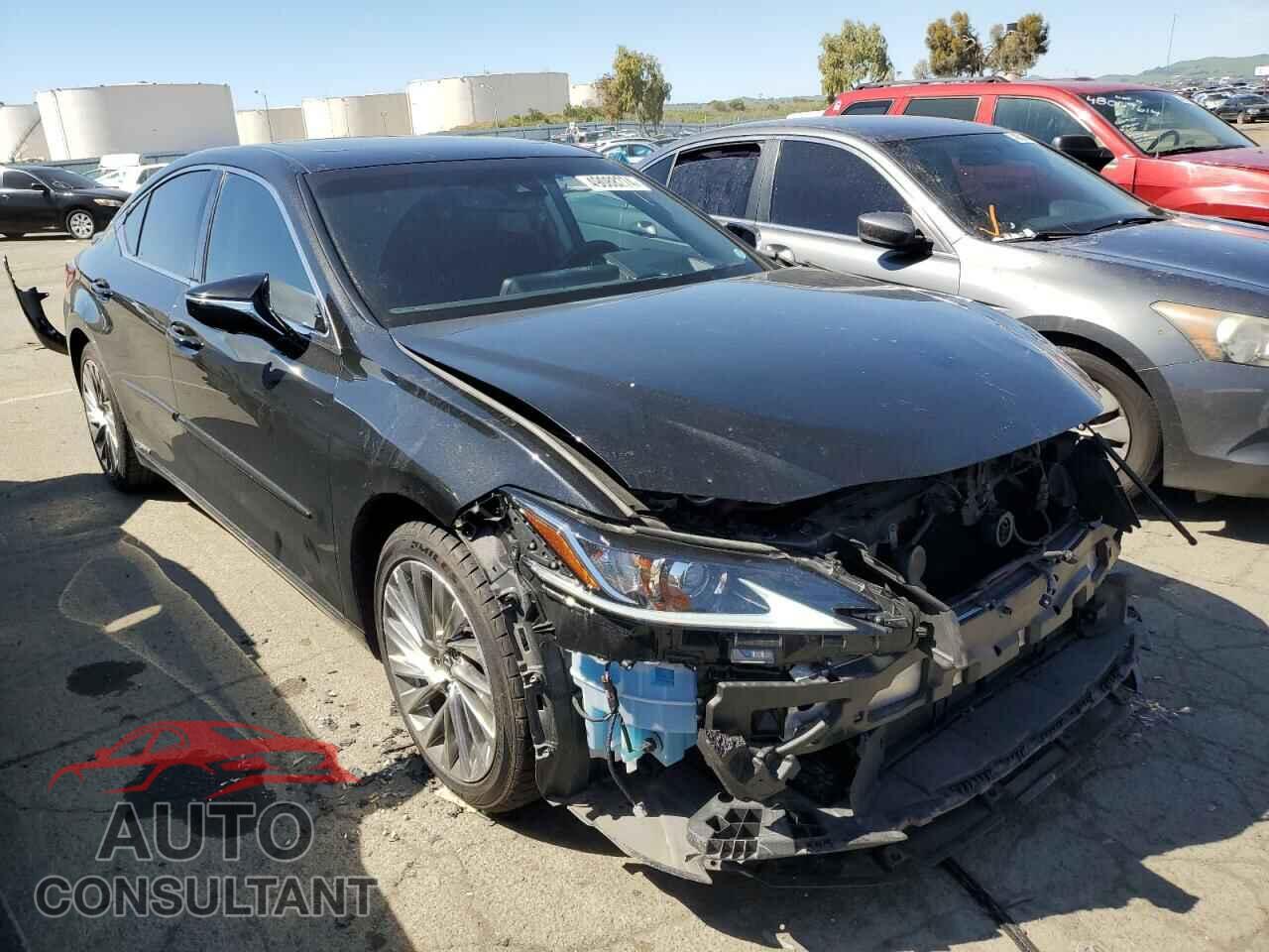 LEXUS ES300 2019 - JTHB21B13K2027214