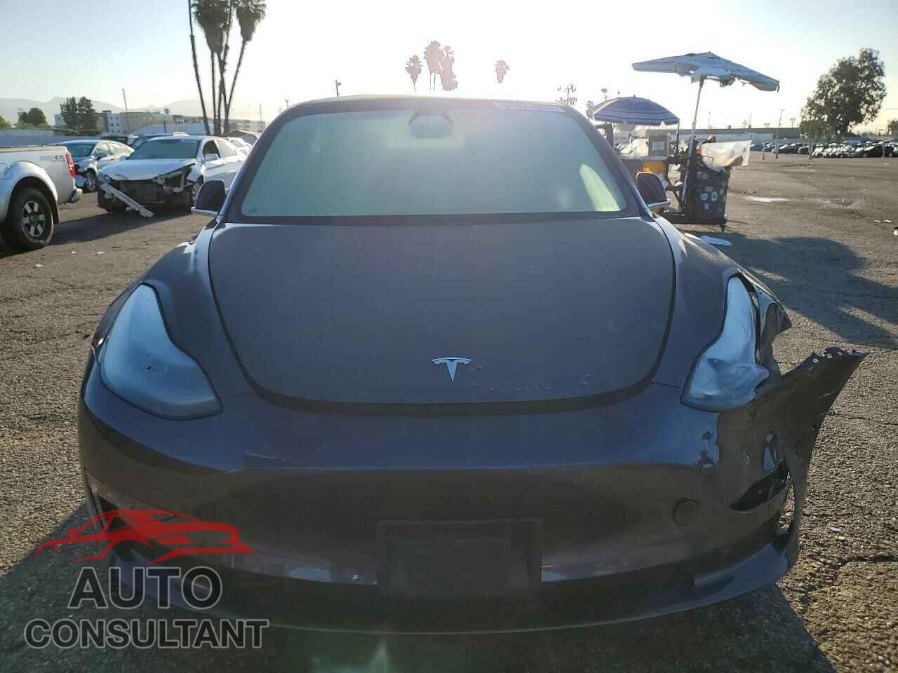 TESLA MODEL 3 2019 - 5YJ3E1EB3KF368000